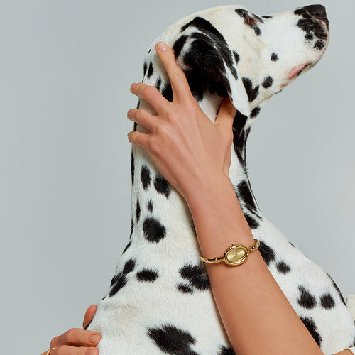 Diana Dalmatian Gold